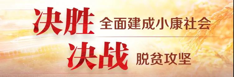 【航院党建】航空学院全体党员学习观看全国脱贫攻坚总结表彰大会实况
